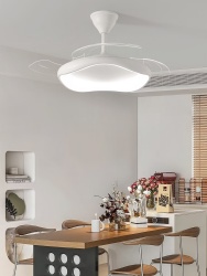 Simple ceiling fan