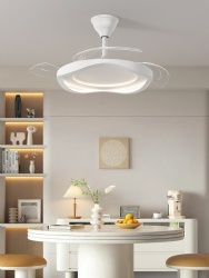 Simple ceiling fan