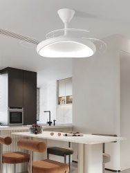 Simple ceiling fan
